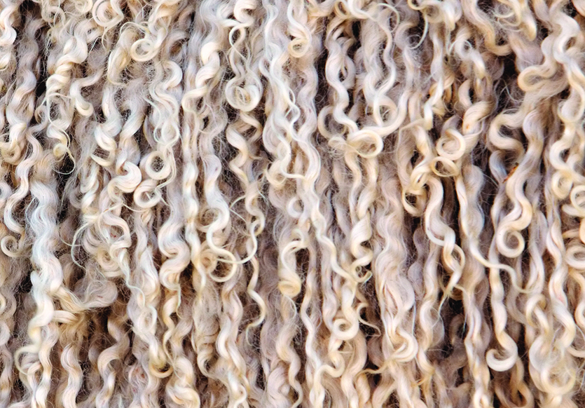 Mohair Triptych Center